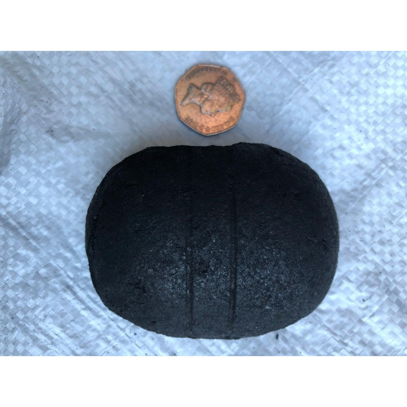 Homefire Ovals 50kg