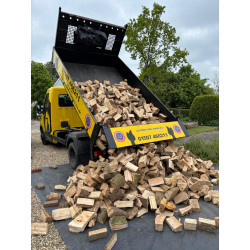 Bulk Loads of Seasoned Hardwood Logs